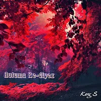 Korg S — Autumn Re-Diyez — обложка